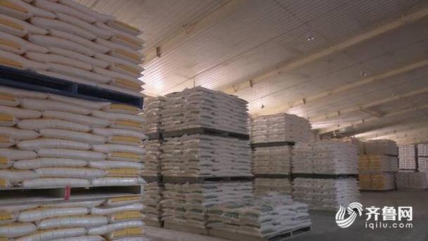 日生产面粉1200吨!潍坊面粉加工企业全力保障市场供应